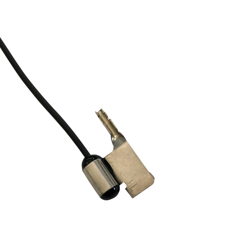 Stainless steel NTC thermistor