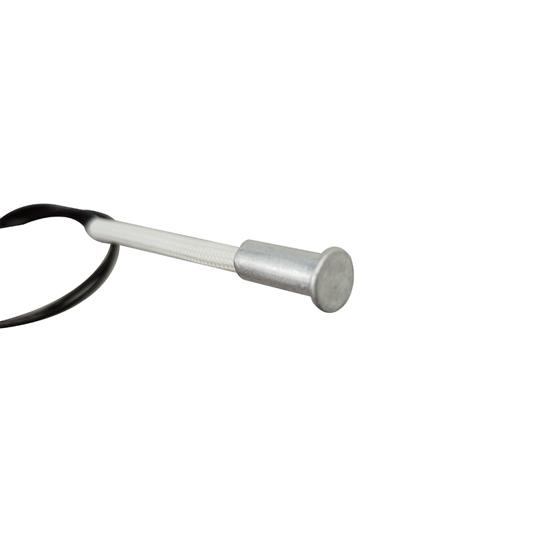 High temperature resistance NTC temperature sensor for oven