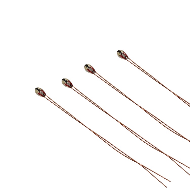 High temperature and waterproof glass encapsulated thermistor