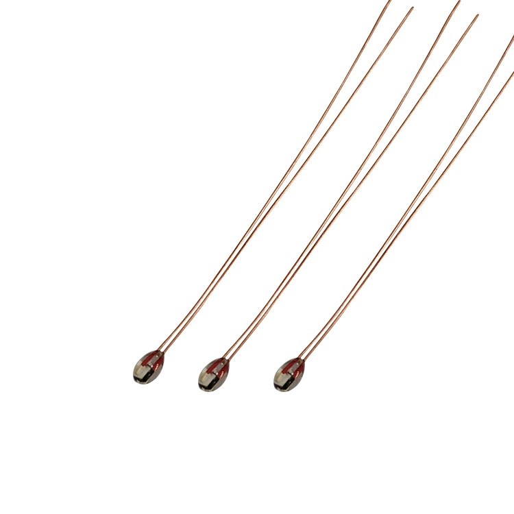 Glass encapsulated resistance temperature sensor