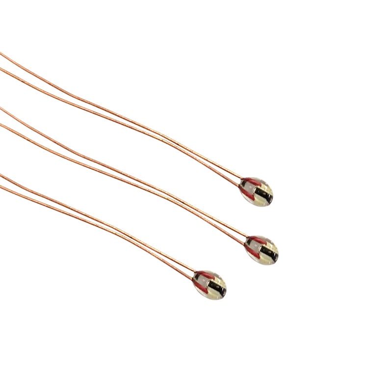 Single end glass encapsulated thermistor temperature sensor for electric oven