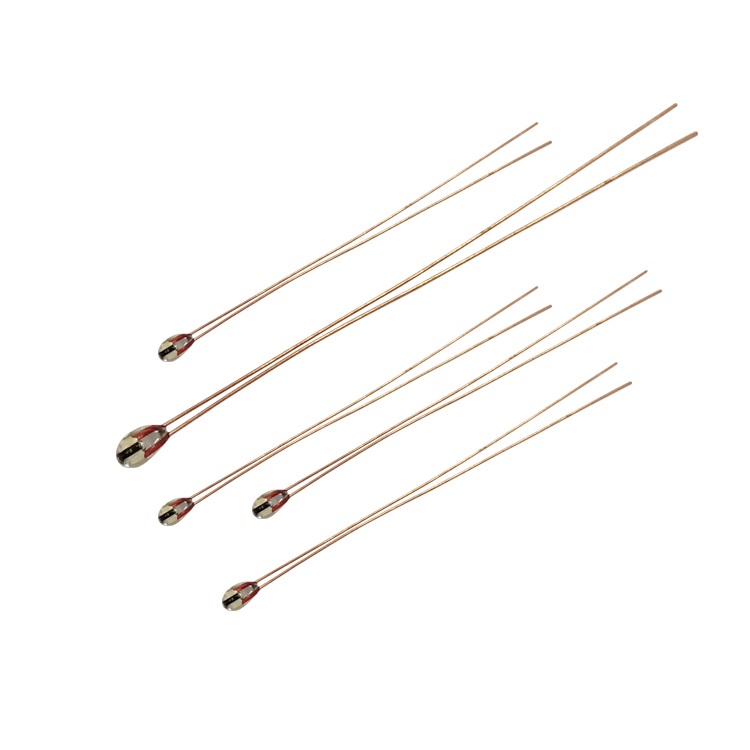 Single end glass encapsulated thermistor temperature sensor for electric oven